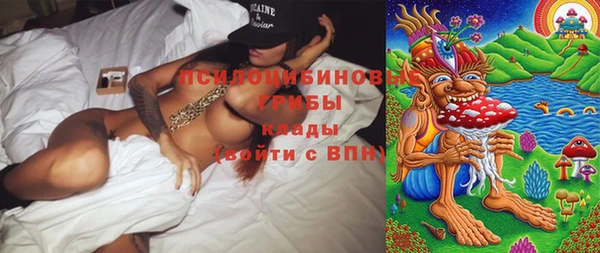 альфа пвп Надым