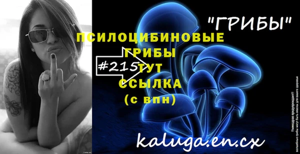 гашик Нефтекумск